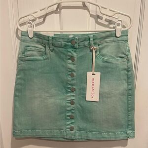 Wash Lab Mint Green Mini Denim Skirt Size 29 Y2K